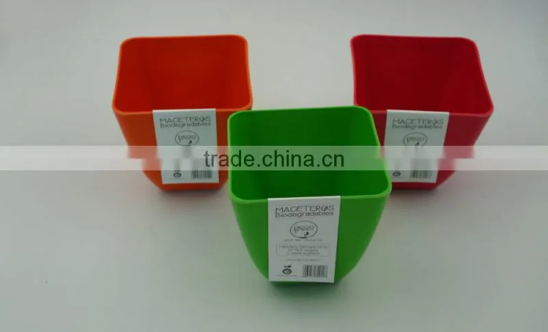 Biodegradable bamboo mini plant pot and flower pot