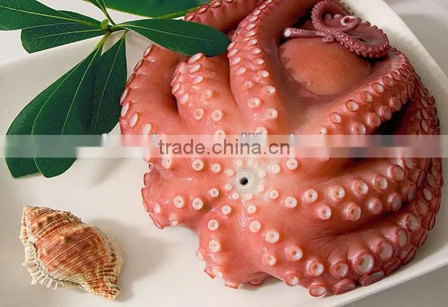 baby octopus cut