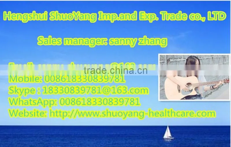 PVC Inflatable jumping animal/pony horse
