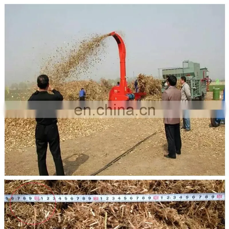 Easy operated electric manufacture cow farm dry and fresh corn straw feed forage grass maize silage chopper machine
