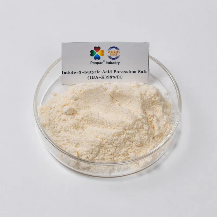 iba-k