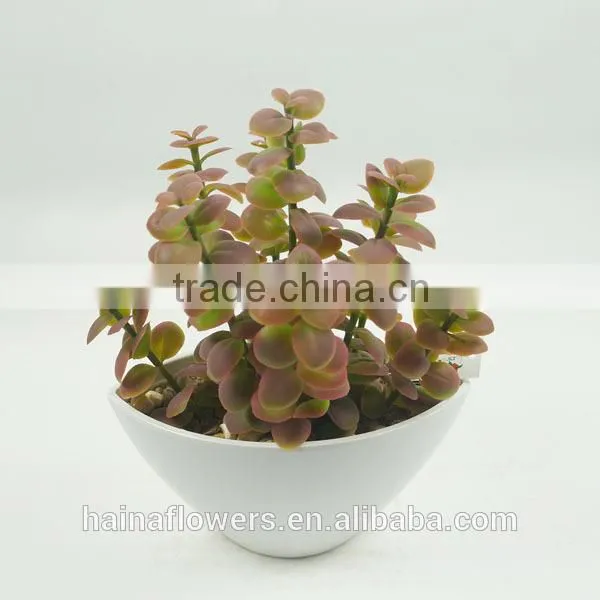 Artificial potted plant artificial plant artificial succulent wholesale