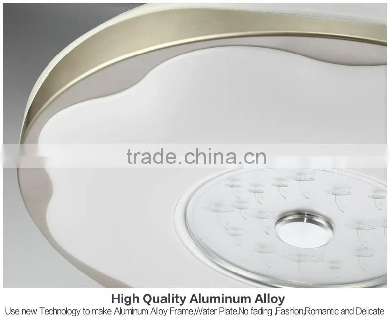 2016 new design ceiling mount led light 30W per color small for bedroom or reading room