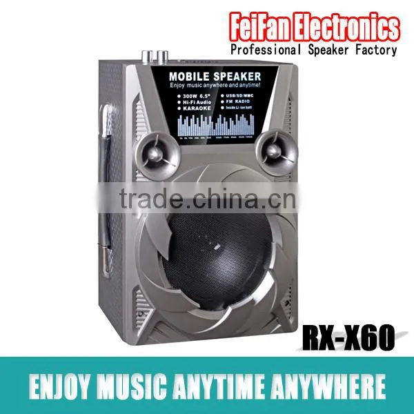 Top Sale 6.5 Inch Usb Speaker With Fm Radio