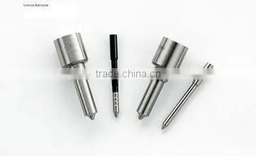 Common Rail Nozzle DLLA145P864