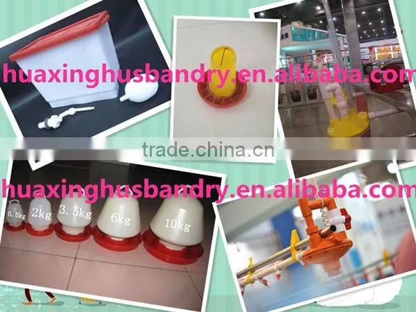 chicken broiler /cock cage with automatic poultry equipment