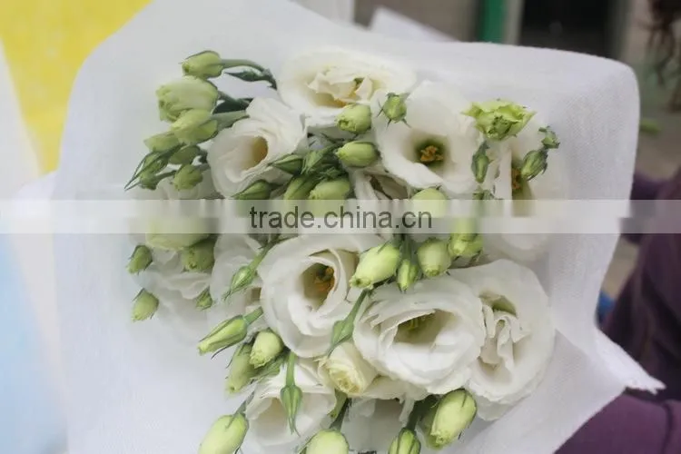 Good smell hotsell provide high quality fresh eustoma