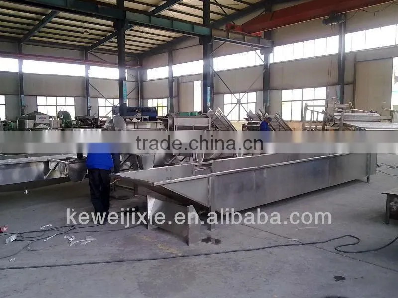 5 tons Pineapple production line