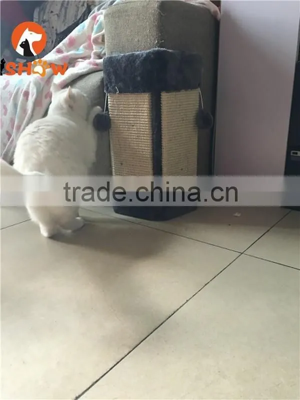 2016 New cat scratch board wall sisal scratch board stuff ball cat toy