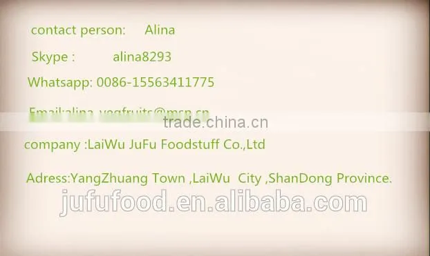 low price fresh ginger from China