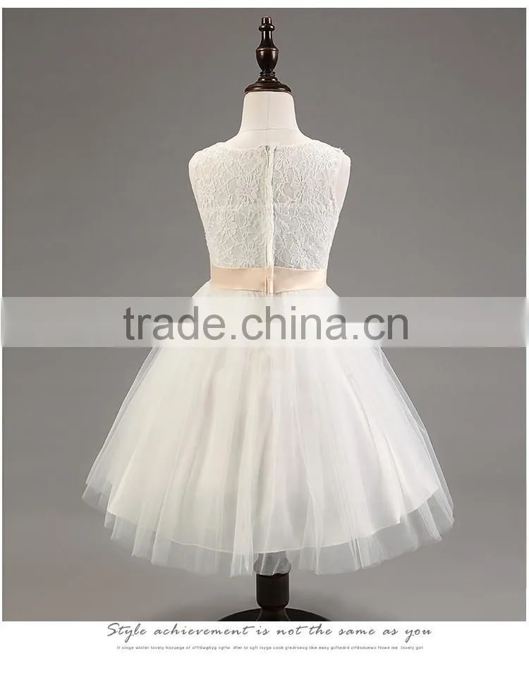 Lastest wholesale elegant girls chiffon party hand embroidery dresses TR-WS31