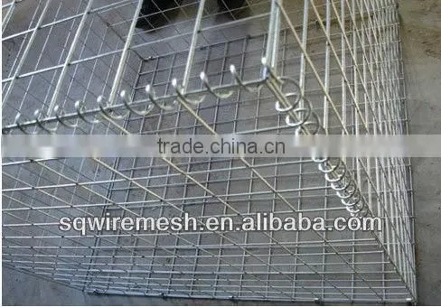 Galvanized Welded Gabion Cage/Welded Gabion Basket (Factory)