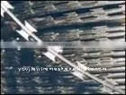 barbed rope in coils Galvanized(Anping Youjie)