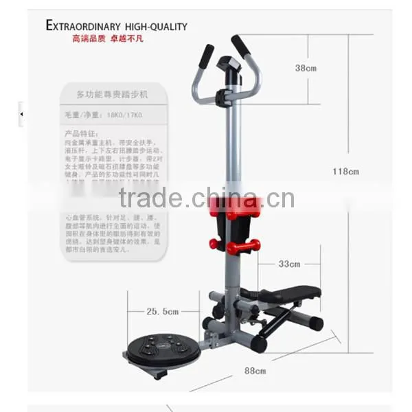 Mini stepper with twister plate
