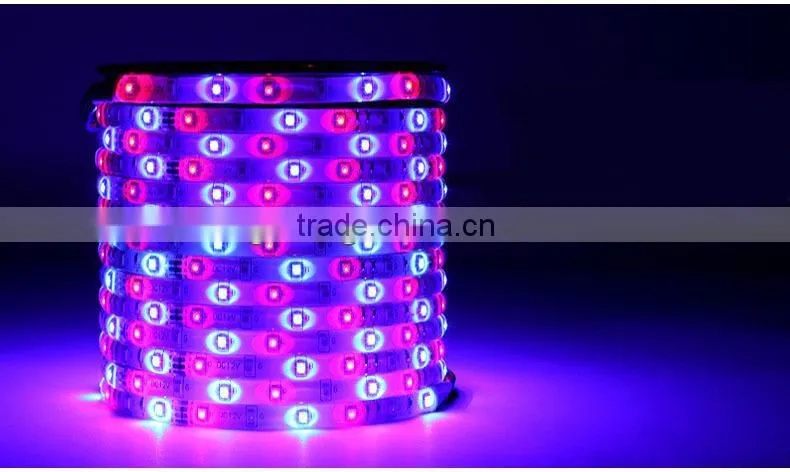 3528 RGB ed strip
