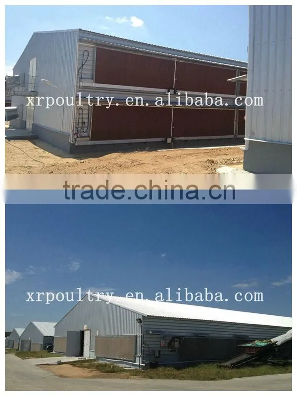 poultry slaughter house