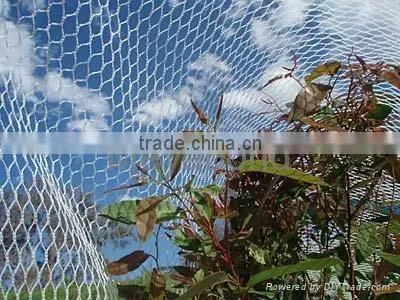 Orchard knotted mesh vineyard net / 20102-50