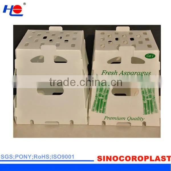 impact resistance and chemical resistance plastic polypropylene protective box