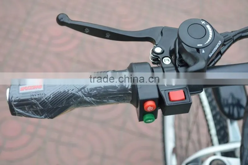 26 " bike 48V Lithium electric bike