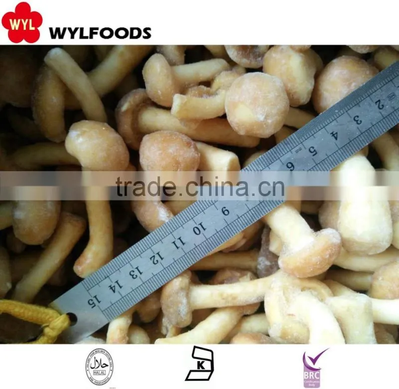 Top sale Best price frozen Suillus granulatus 2016