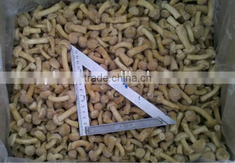 IQF nameko