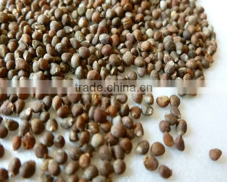 Refined Organic perilla seed oil plant oil for cooking and medicial