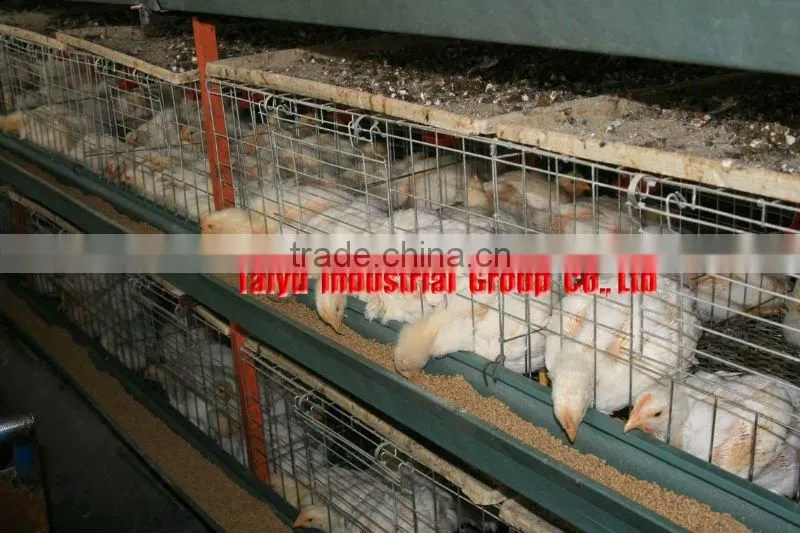 TAIYU-102 breeding broiler cage