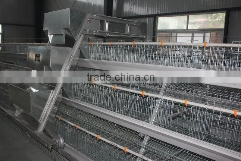 4 tiers chicken layer cage layer cages for sale chicken egg layer cages