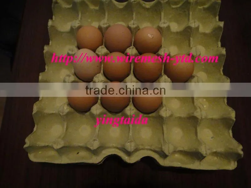 egg tray india