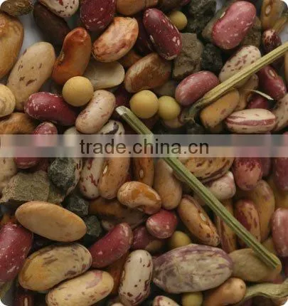 Automatic kidney bean color sorter machine