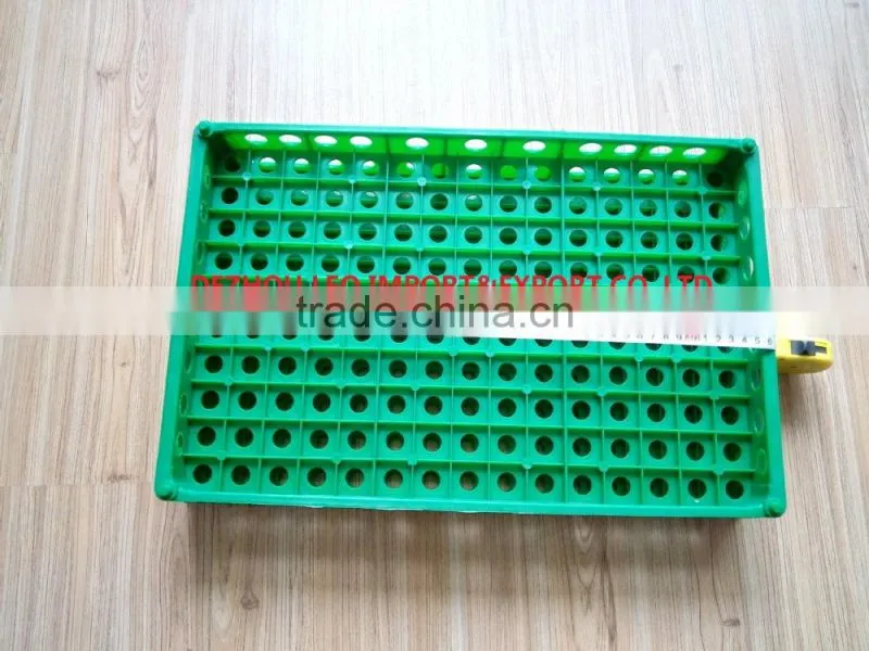 China best selling plastic egg crate tray for quail eggs delivery