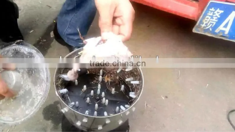 HHD Cheap Depilator Machine/ Feather Plucking Machine