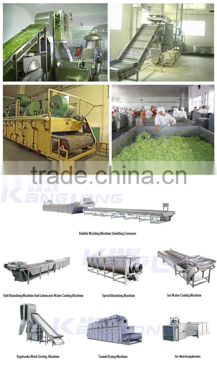 New Design vegetable dehydration line