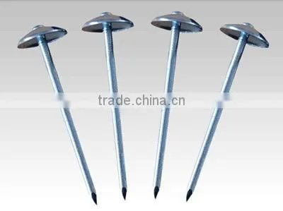 High quality polished umbrella roofing nails in China