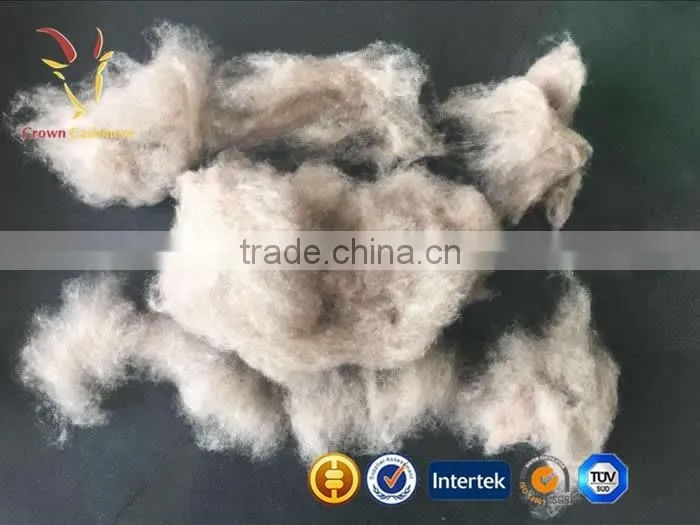 Precious Fibers Cashmere Dehaired Fiber