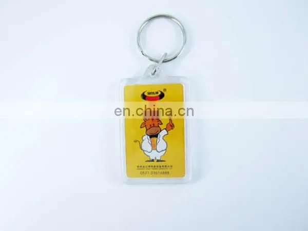 Round shape custom logo card inserted Acrylic keychain