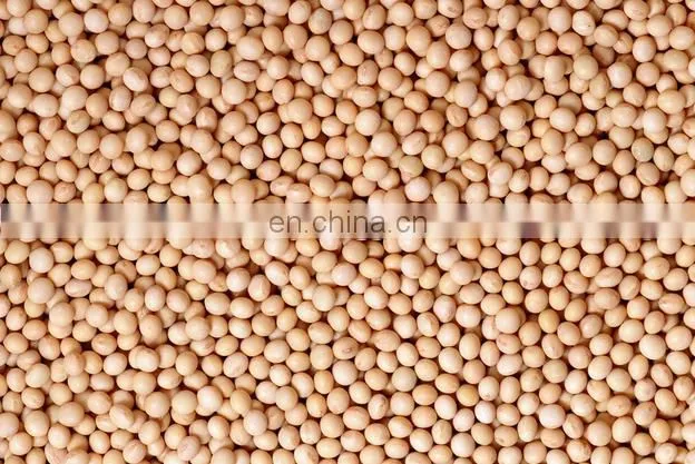 Seed oil extraction machine/groundnut oil processing machine/palm kernel oil mill price