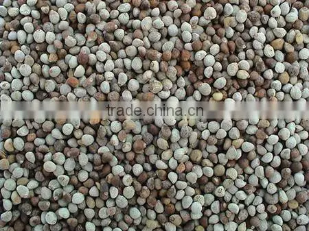 organic white perilla seeds