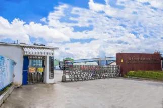 Guangxi Donglin Food And Chemical Co., Ltd. company overview - view 1