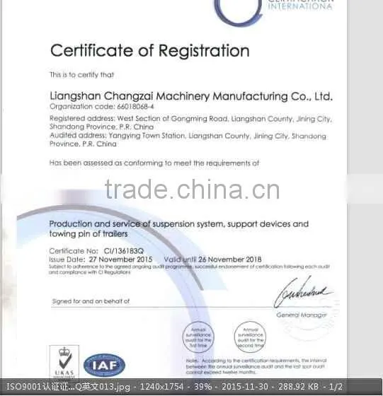 leaf spring auto/semi trailer/truck/lorry