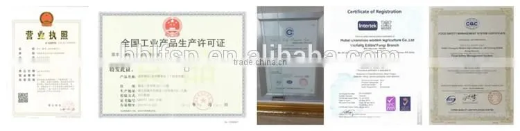 Wholesale Factory Prices for Shiitake 1KG