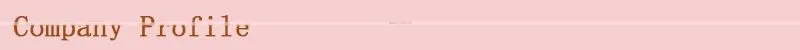 Bozai Mint Breath Strips Candy Paper confectionary