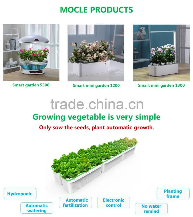 Widely used volcanic rock planters pots