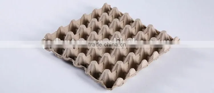 High quality widely used paper pulp egg tray