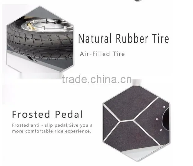 500Watt Electric Skateboard Balancing car