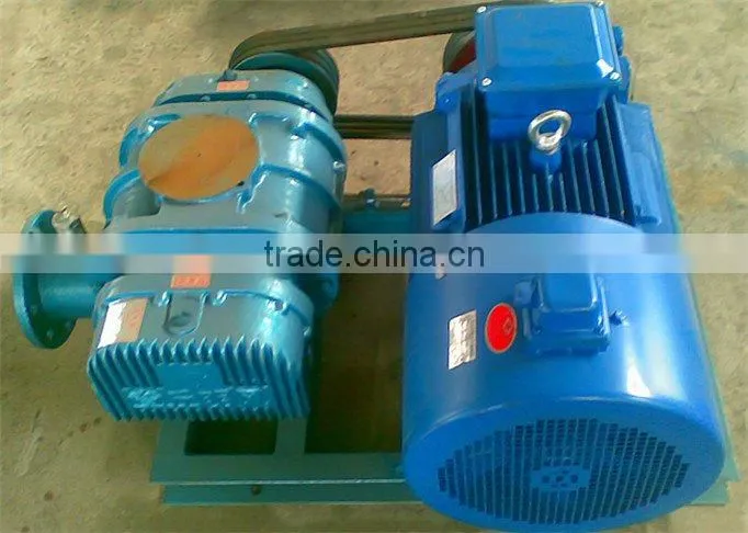 High pressure roots blower