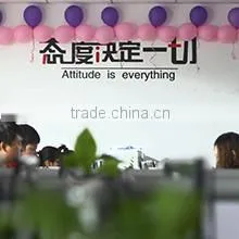 Henan Blue Sail Trading Co., Ltd. company overview - view 1