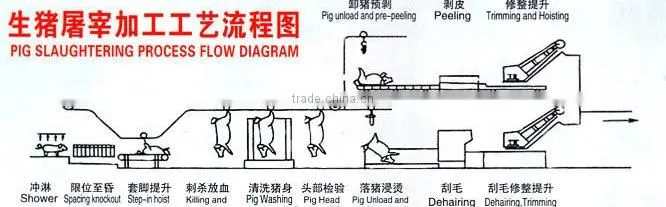 pig slaughter equipment/300 head pig slaughtering machine line