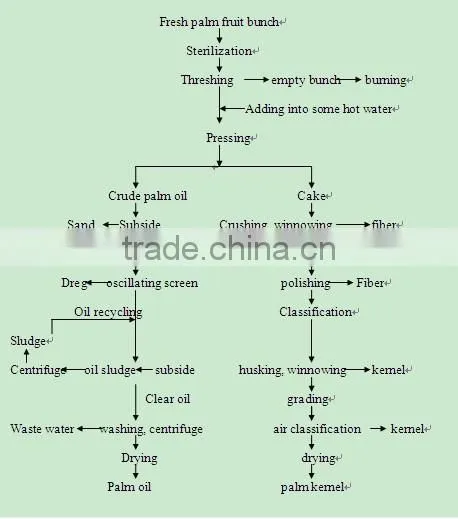 palm oil processing plant manufacturer/vegetable oil processing plant1-3000T/D