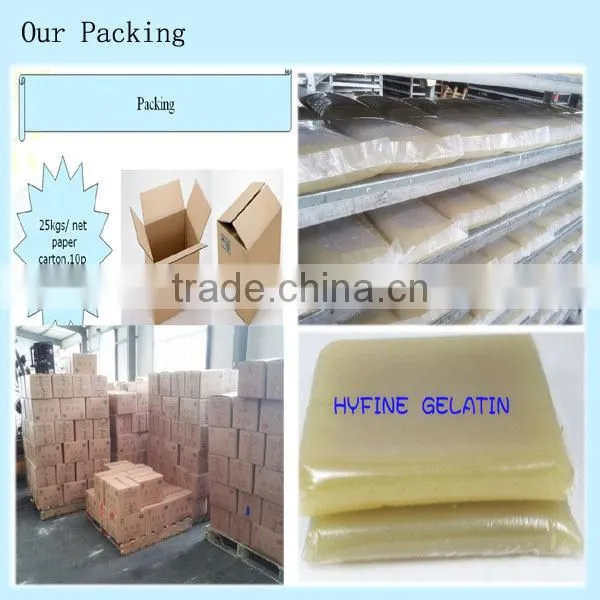 Industrial animal bone gelatin glue Gel glue for full automatic mahine